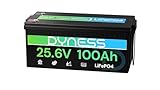 Dyness Batteria Litio LiFePO4 24V 100Ah con 100A BMS e Protezione Bassa Temperatura, Batteria 24V per Fotovoltaico Accumulo, Barche da Pesca Bass, Sistemi di Energia Rinnovabile, Camper (RV), Off-Grid