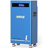 Aninerel Batteria ricaricabile da 300 Ah, 48 V, LiFePO4, 15 KWh, 51,2 V, 12000 cicli, con BMS, accumulatore di energia da parete per impianto fotovoltaico RV