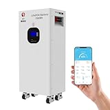 SaiJiaoYang 15kWh 48V 300Ah LiFePO4, 51.2V Batteria al Litio 10000+ Cicli Batteria Ricaricabile Con BMS da 200A pour Accumulo di Energia in Casa, RV, Solare, Sistema Off-Grid