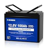 DCHOUSE Batteria al litio 12V 100Ah LiFePO4, fino a 15000 cicli, uscita massima 1280Wh, perfetta per camper, pannelli solari, caravan, barche,Sistemi fuori rete