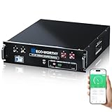 ECO-WORTHY LiFePO4 Batteria al litio 48 V 100 Ah Bluetooth con 100A BMS, 5 KWh 48 V Batteria LiFePO4 per sistemi solari, completi, impianti fotovoltaici, caravan